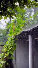 beautiful rainy day l monsoon season l barish whatsapp status