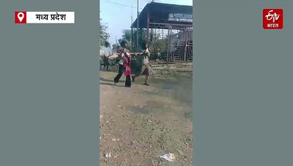 खंडवा में नहीं मिली एंबुलेंस तो मरीज को बैलगाड़ी से स्वास्थ्य केंद्र ले गए परिजन, रास्ते में मौत