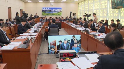 국회 외통위, '여행금지국 방문 처벌 강화' 개정안 의결 / YTN