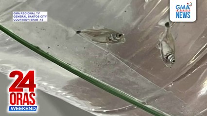 ‘Di bababa sa 43 piranha, nasamsam ng BFAR sa GenSan | 24 Oras Weekend