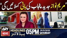 Maryam Aurangzeb Big Statement | ARY News 5 PM Headlines | 29th Nov 2025
