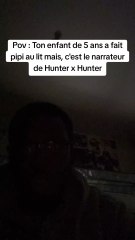 Pov : Ton enfant de 5 ans a fait pipi au lit, mais c'est le narrateur de Hunter x Hunter