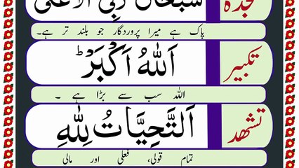 Complete Namaz e Hanafi in Arabic - Learn Namaz Full Step by Step [How to Offer Salah]