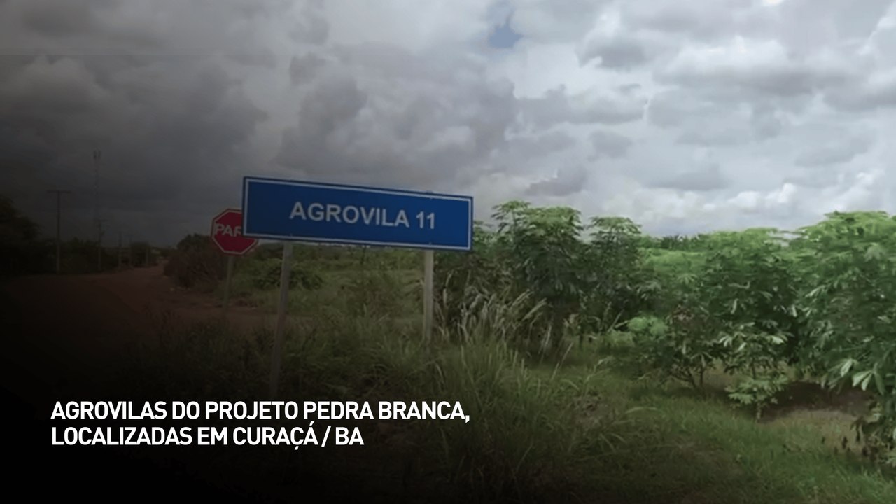 Agrovilas do projeto Pedra Branca, localizadas em Curaçá - BA