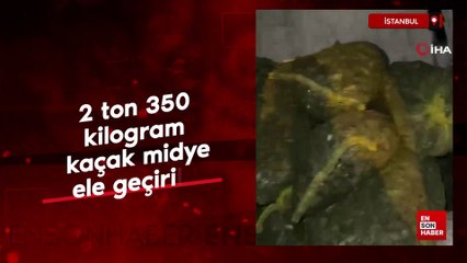 İstanbul'da 2 ton 350 kilogram kaçak midye ele geçirildi