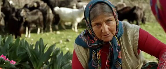 Turna misali izle ☄️☄️ Dram ☄️☄️yerli film izle