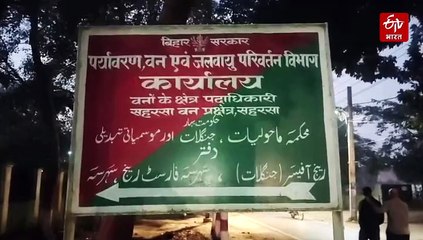 बिहार में खूब आ रहे मेहमान, कोसी क्षेत्र में 600 से ज्यादा प्रवासी पक्षी मिले