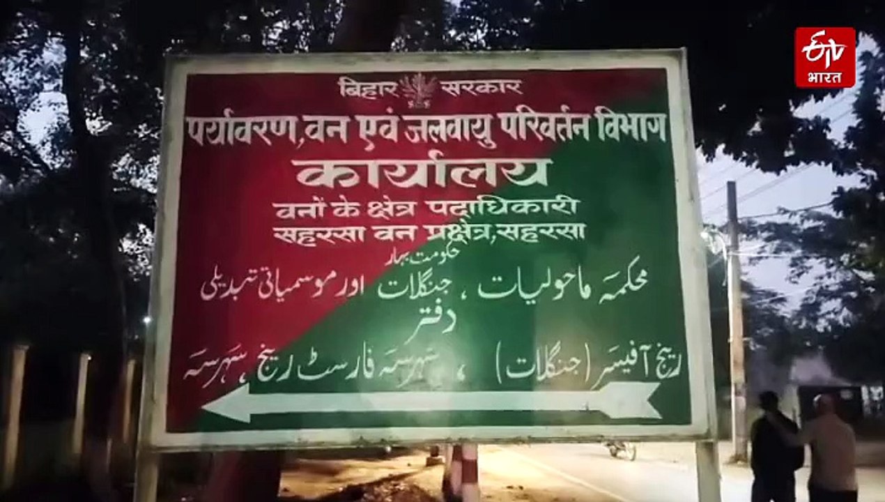 बिहार में खूब आ रहे मेहमान, कोसी क्षेत्र में 600 से ज्यादा प्रवासी पक्षी मिले