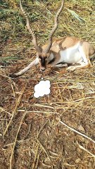 Does your boss also say the same?