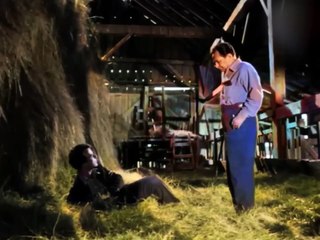 EL SECRETO DE LA CASA ROJA  Película Completa de SUSPENSO en Español  COLORIDO