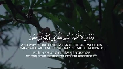 Surah Yaseen Full Recitation | Beautiful & Peaceful Quran Tilawat