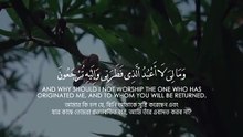 Surah Yaseen Full Recitation | Beautiful & Peaceful Quran Tilawat
