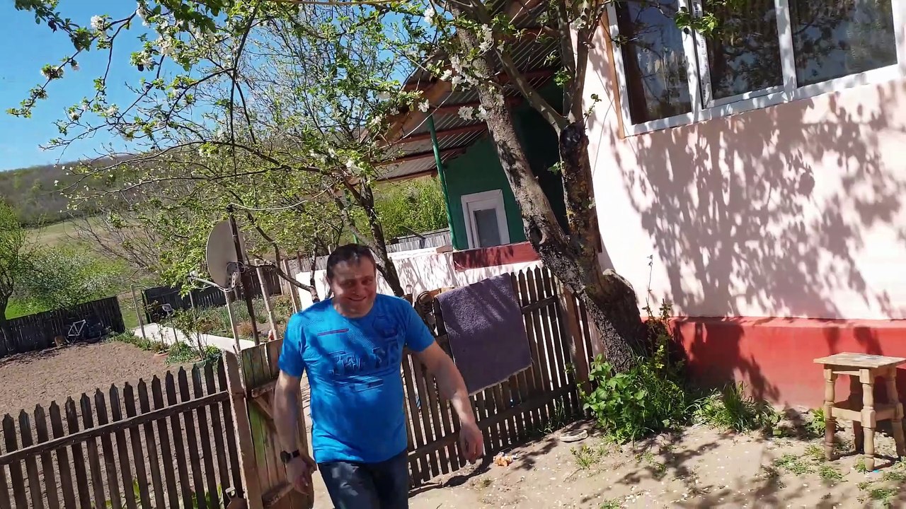 ZARNESTI1GRATAR