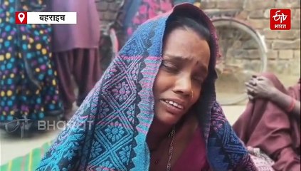 बहराइच में आदमखोर भेड़ियों का आतंक; मां की गोद से 10 माह की बच्ची को उठा ले गया, 24 घंटे में दो को बनाया निवाला