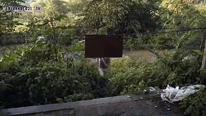 Japanese. Gay. Movie