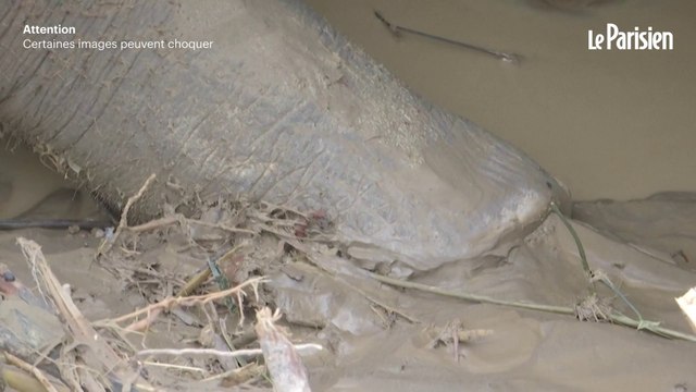 Plus de 900 victimes dans les inondations meurtrières en Asie du Sud-Est