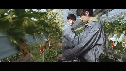 Japanese. Gay. Movie