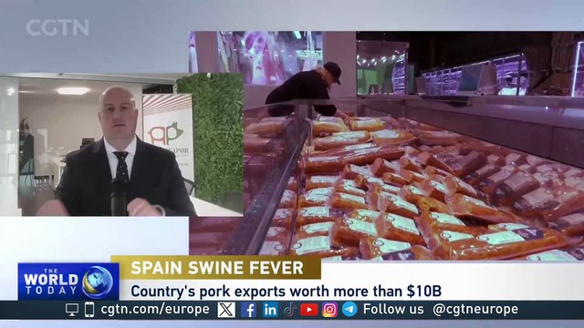 Spanish Pig Farmers Association's Update on African Swine Fever & China Trade