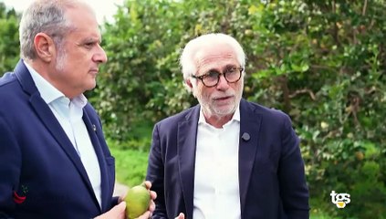 Buona Terra – Puntata del 29 novembre 2025 | Cibo, vino e storie di Sicilia