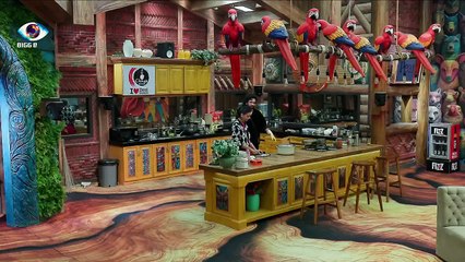 Bigg Boss - 29th November 2025 Ep