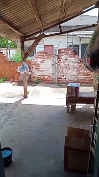 E Agora? Saí do Emprego e Agora Faço Animações para Ganhar Dinheiro.