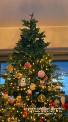 Η Αθηνά Οικονομάκου στόλισε για τα Χριστούγεννα