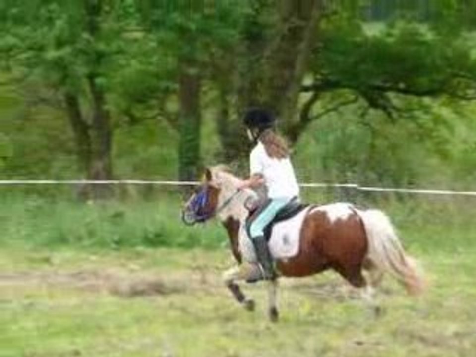 petit parcours de mon loulou