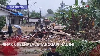 Viral Kayu Gelondongan Ikut Hanyut Saat Banjir di Sumatera, Begini Respons Greenpeace & Kemenhut