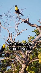 From Lost Heiress To Royal Highness