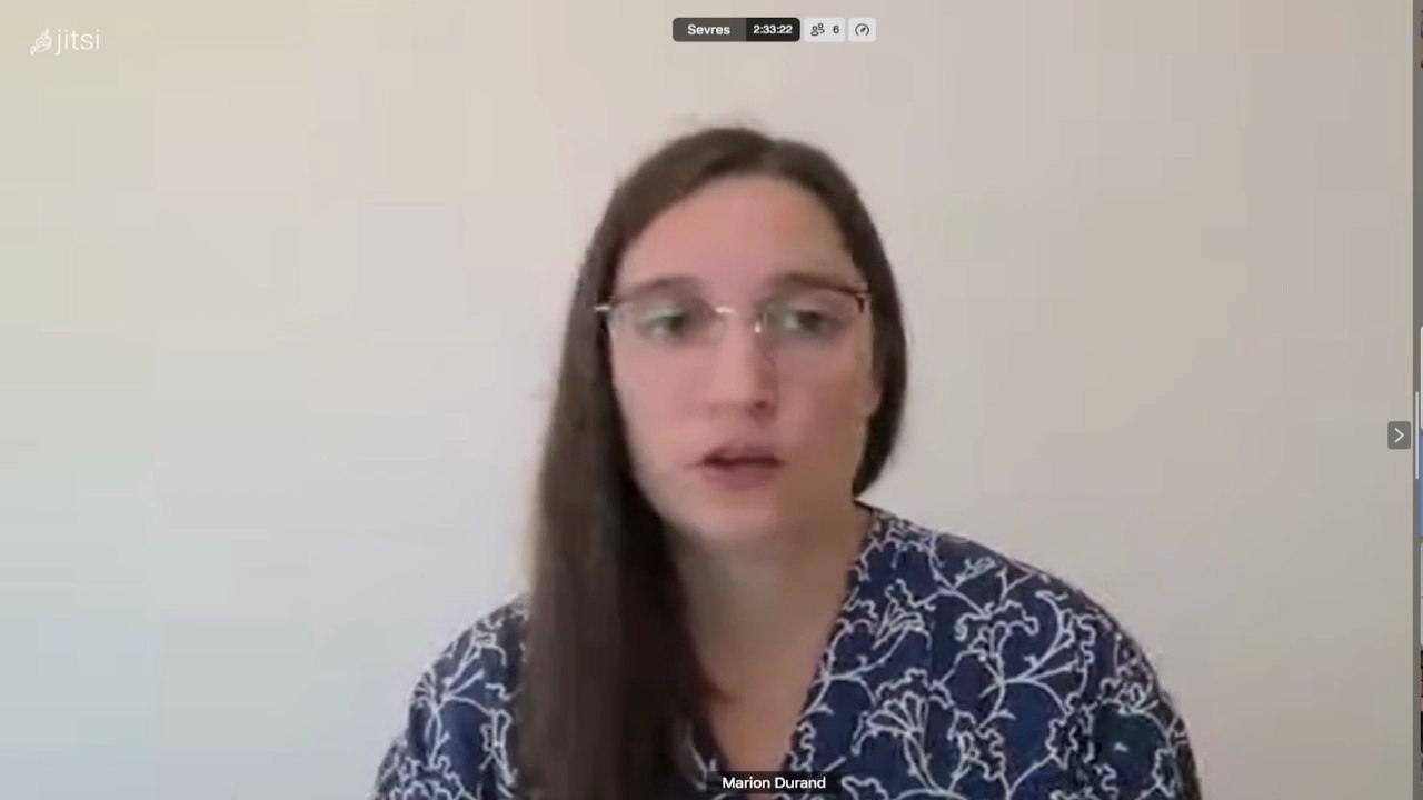 II. Les stoïciens : la rationalité et l’irrationalité des émotions, Marion DURAND