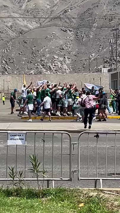 Palmeirenses cantam e vibram em Lima