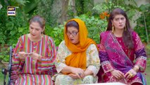 Bulbulay Season 2 Episode 331 | 29 Nov 2025 | Comedy | ARY Digital Drama