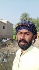 چھوٹا سا کلپ — لیکن ہنسی لمبی 😁 مزہ آیا تو دل سے LIKE کرنا 💖