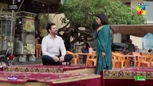 Masoom Episode 17  30 November 2025
