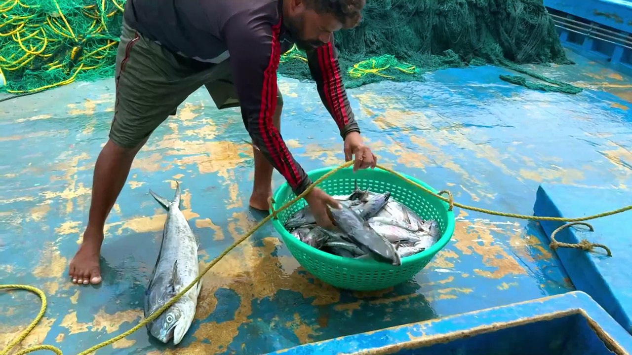 Gulf Offshore Monster Chase – Full 10-Minute Deep Sea Fishing Adventure