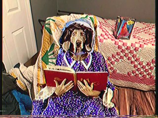 Sesame Street - William Wegman's Mother Goose (1997) (Full Remake HD VHS Version)