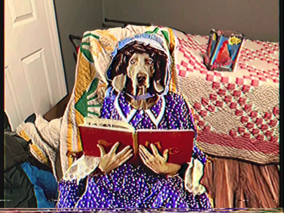 Sesame Street - William Wegman's Mother Goose (1997) (Full Remake HD VHS Version)