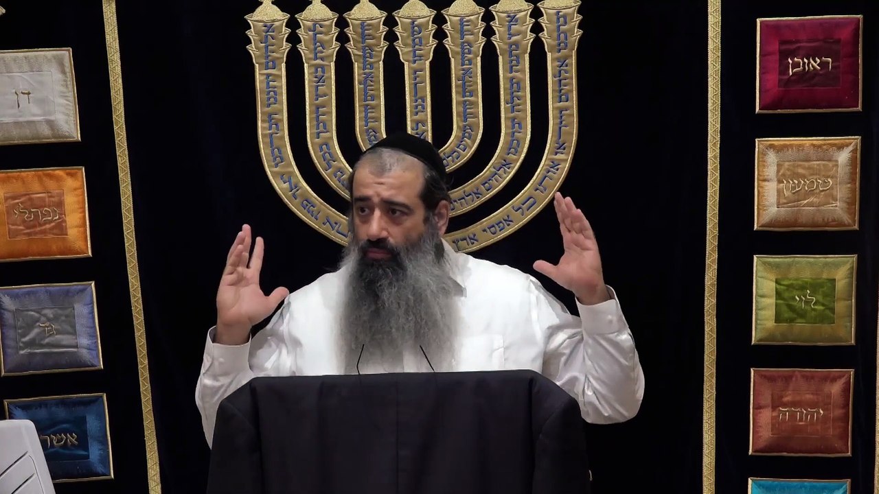 חכמה מחיה בעליה