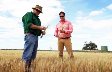 Smith family's Spring Grove farm portfolio in central Victoria up for sale.