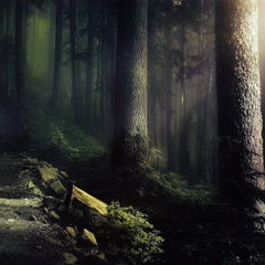 【Electronic Music】 The Way Back