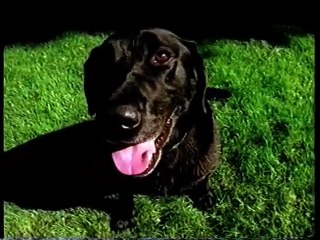 HRT 2 11.04.2005. - TV raspored