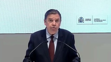 El Gobierno español trabajará "al máximo" para limitar el impacto económico de la peste porcina