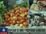 Más de 3 mil familias favorecidas con el despliegue del Plan Amor y Prosperidad Alimentaria en Falcón