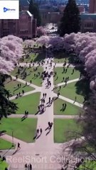 [New Drama] Baby Please Don’t Marry Him #realshort - Full Movie | Drama Video Studio