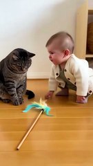 Baby Giving Cat a Pep Talk  #ai #baby #cat #cute #dog #viralreels