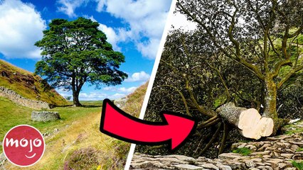 Top 30 Natural Wonders That Don't Exist Anymore