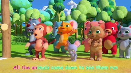 The Tortoise and the Hare - CoComelon Nursery Rhymes & Kids Songs