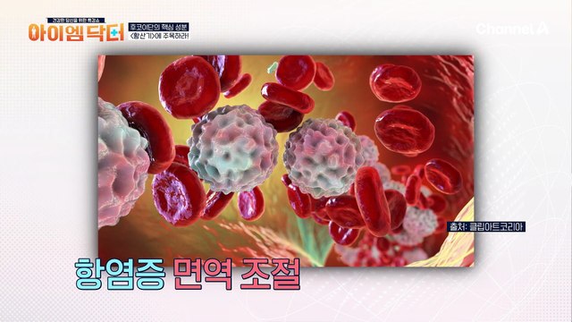 면역력과 세포 손상 억제에 도움되는 천연 항산화 식품의 정체는 '후코이단'