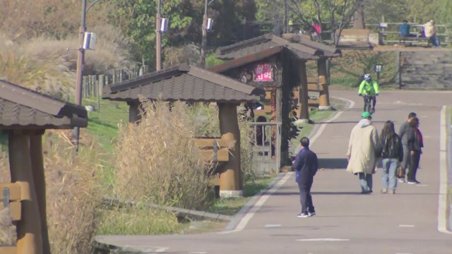 [날씨] 11월 마지막, 막바지 늦가을...중서부 미세 '나쁨' / YTN