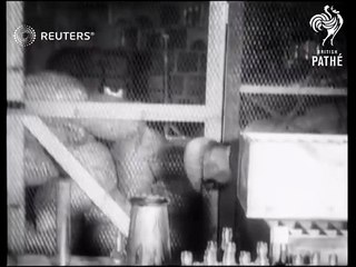 Behind the Scenes with the Bootleggers | movie | 1926 | Official Trailer